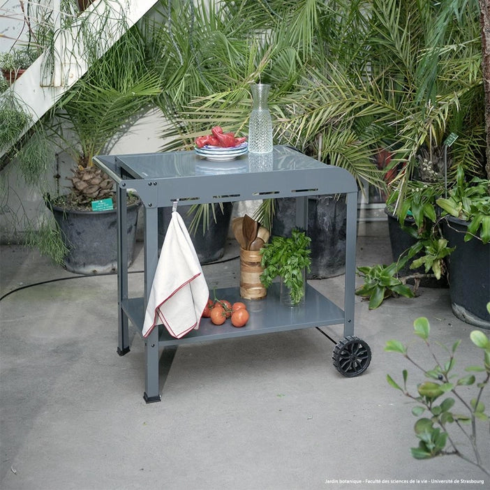LIVOO Trolley for plancha