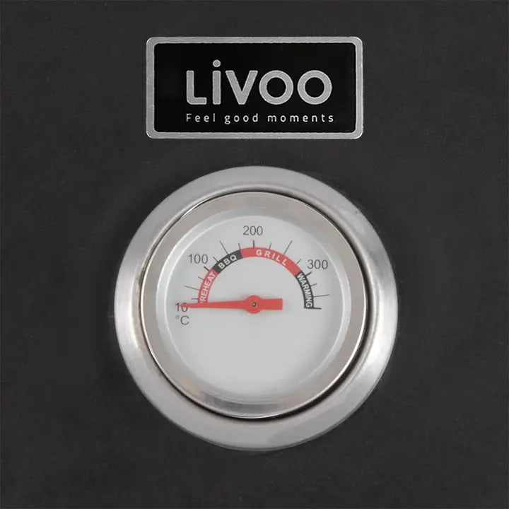 LIVOO Pizza oven for barbecue