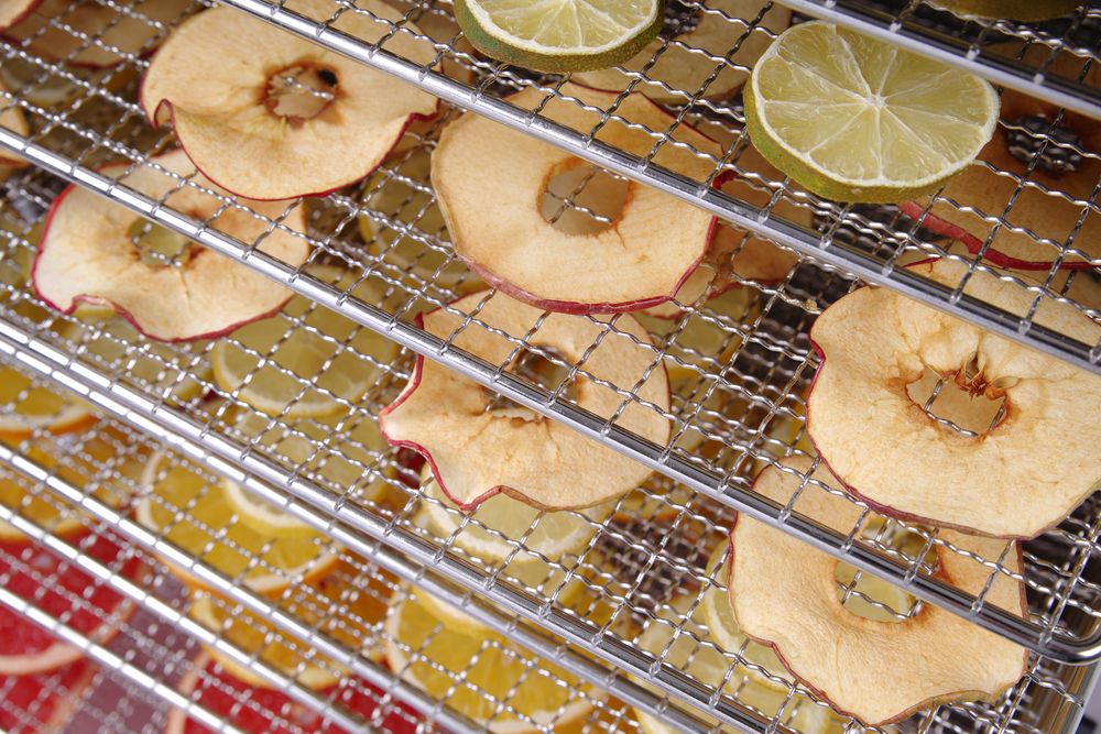 HENDI Profi Line food dehydrator with 10 trays, 430x550x(H)416mm