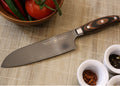 STERNSTEIGER Stahlwaren Santoku knife (18 cm) and paring knife (10 cm) from Titanium collection