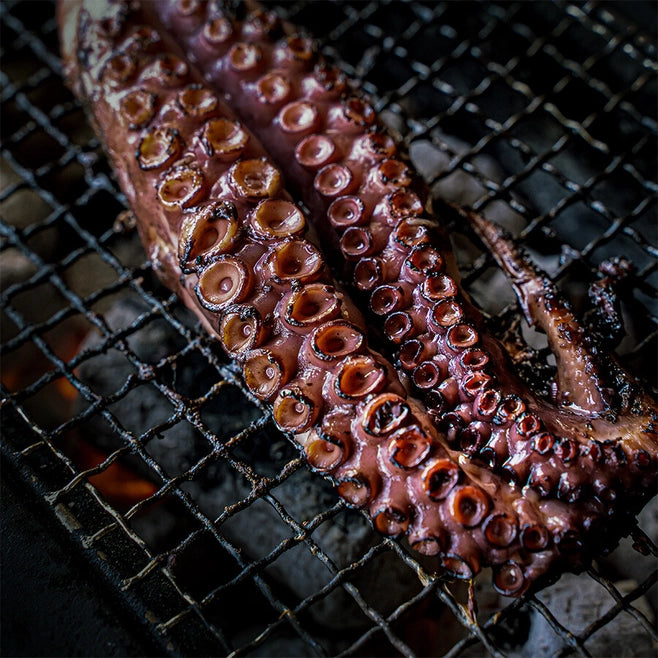 YAKINIKU Shichirin konro & yakitori grill, large rectangular