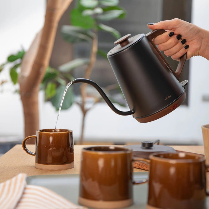 LIVOO DOD206 Gooseneck kettle 1 L